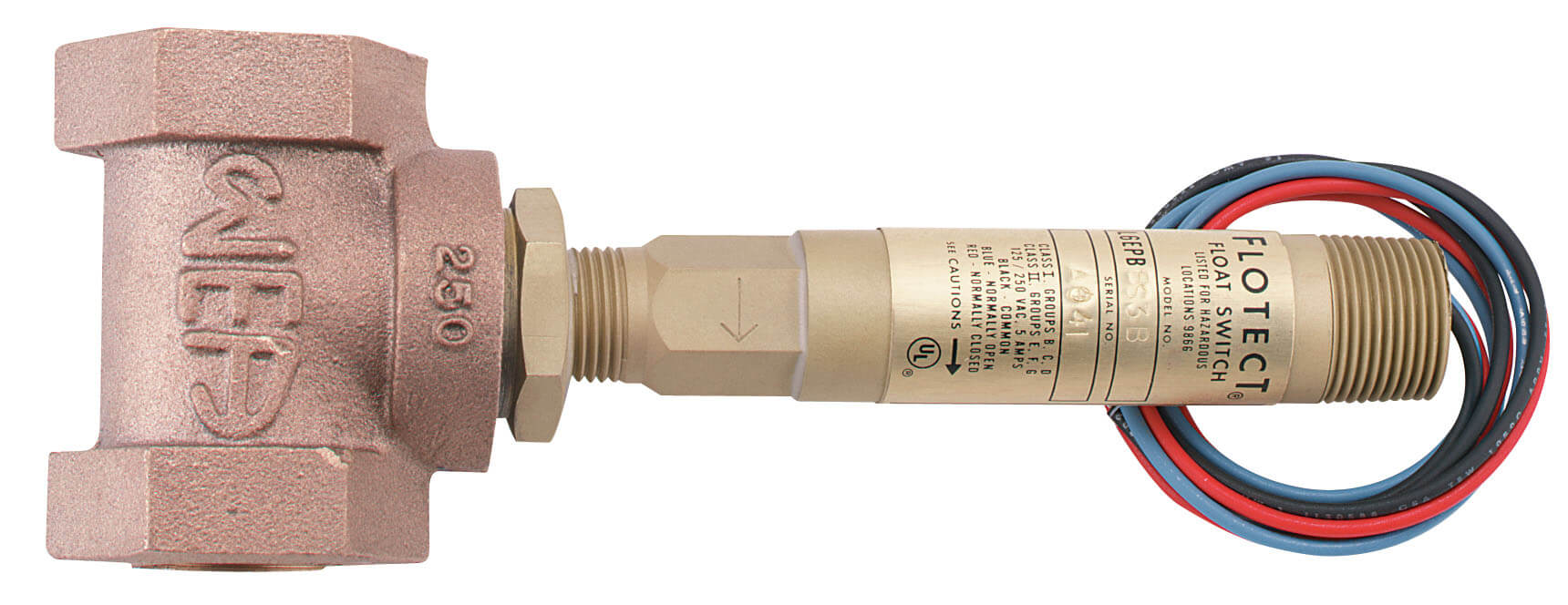 DWYER L6系列  FLOTECT? 液位開關(guān) 易嵌壁或外部安裝，達(dá)到2000psig（138bar）